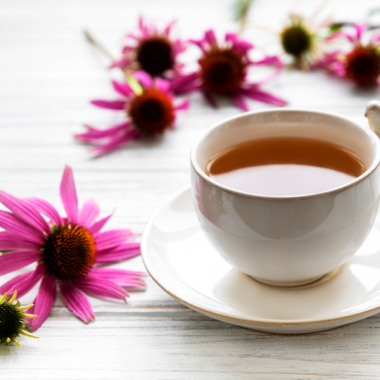 Echinacea Tea