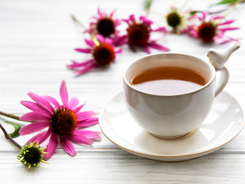 Echinacea Tea